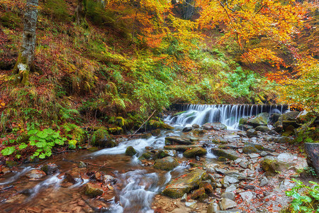 山河上美丽的瀑布在多彩的秋天森林中图片