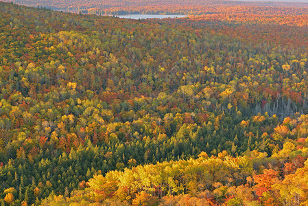 美国密歇根州上半岛布洛克威山道的秋天森林和背景图片