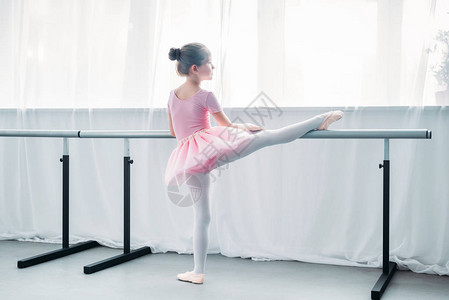 在芭蕾学校的粉红塔图运动中小图片