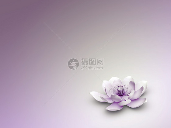 莲花的3D渲染图片