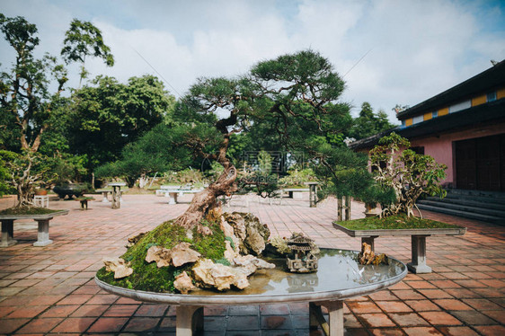 越南顺化的盆景树和装饰池塘图片