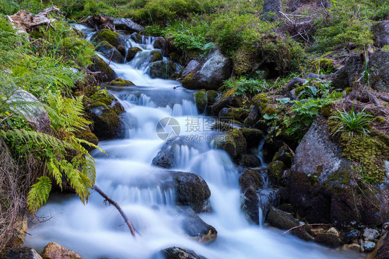 与山溪的美景图片