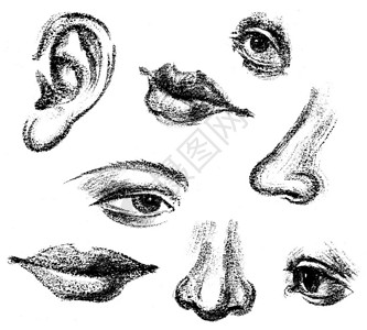 13卡通家族头像人脸小眼睛高清图片抽象线稿人脸半边脸画像高清图片