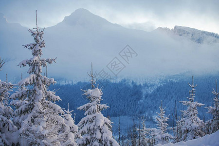 冬山景观波兰小波兰的塔特拉山脉雪覆盖图片
