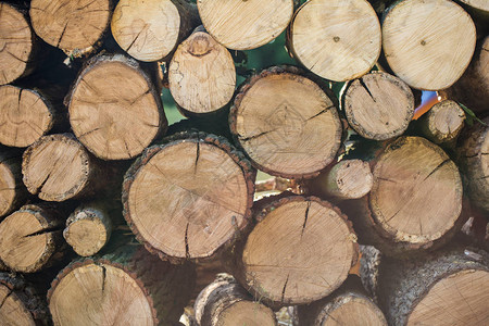 一副堆叠的原木甲板拉图片