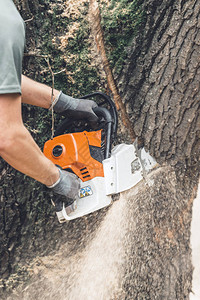 带链锯的Arborist家砍掉大图片