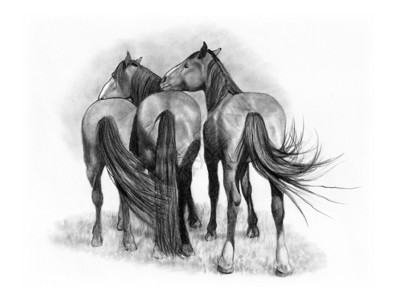 三匹马亲切地站在一起的写实铅笔画图片