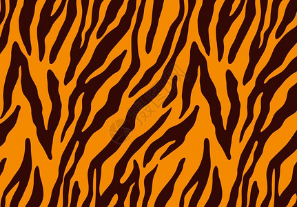 橙色背景上的虎皮图案图片