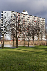 绿色环境中的公寓区块70年代建造于鹿特丹亚图片