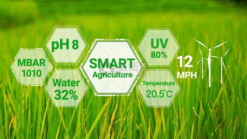 智能数字农业技术通过未来传感器数据收集管理图片
