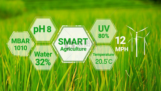 智能数字农业技术通过未来传感器数据收集管理图片