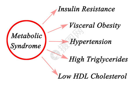 代谢综合征的症状图片
