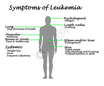 白血病的常见症状图片