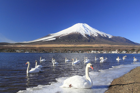 Yamanaka湖日本亚马纳希的Mtf图片