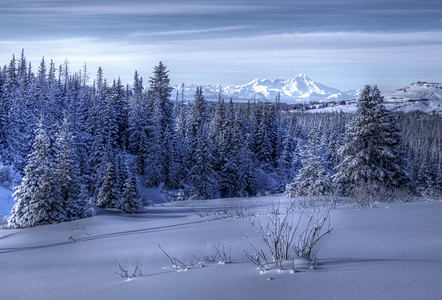 桥本环奈黄昏时的阿拉斯加冬季风景还有雪背景