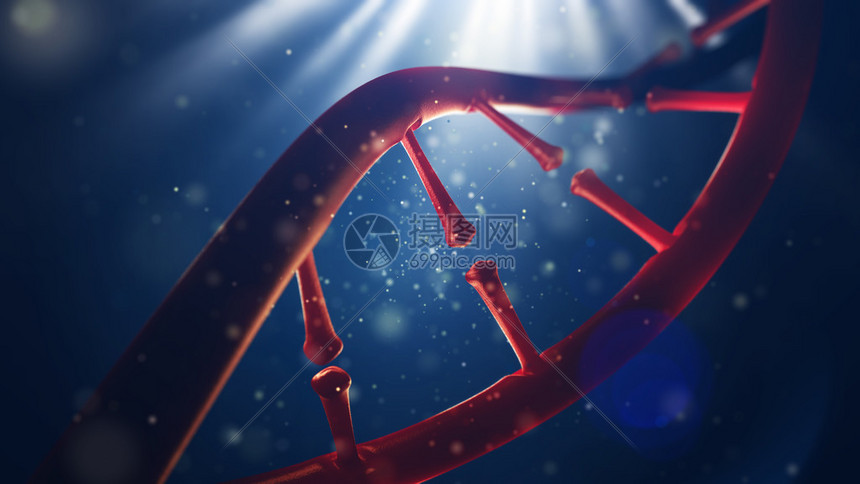 3d脱氧核糖酸分子的插图人类基因图片