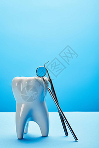 近距离观察牙齿模型牙镜和蓝图片