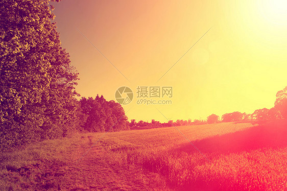 抽象森伯斯特复古夏季背景Instagram复古草地图片