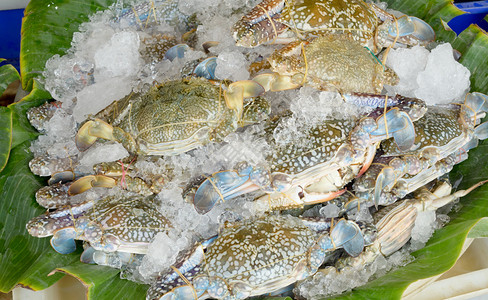海鲜市场鲜生花蟹或蓝蟹背景图片