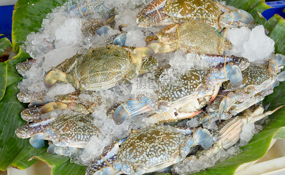 海鲜市场鲜生花蟹或蓝蟹图片
