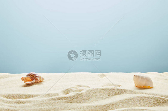 蓝色背景中带贝壳的波浪状沙子图片