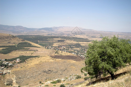 以色列加利的山脉和自然图片