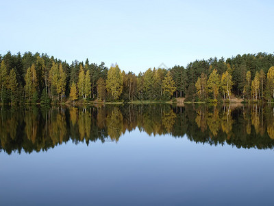 平静深森林湖秋季图片