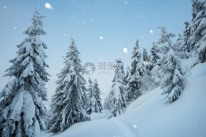 山林下雪的圣诞风景雪中脚路冬季风景图片