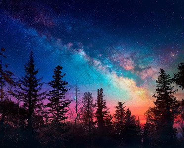 夜间森林中的银河有雾背景图片