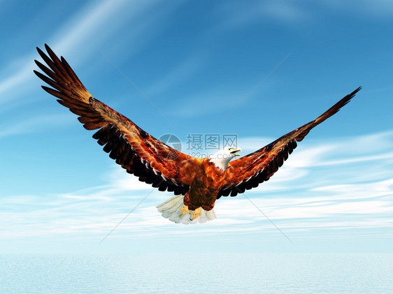 计算机生成的海鹰3D插图图片