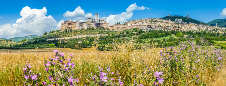 古老的阿西镇Assisi全景图片