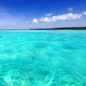 热带岛屿上的海滩清澈的蓝色海水沙滩和棕榈树美丽的度假胜地治图片