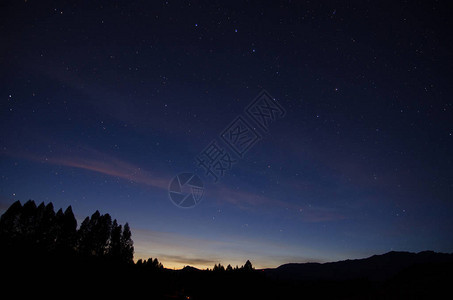 夜空与明亮的星和云杉树的顶部图片