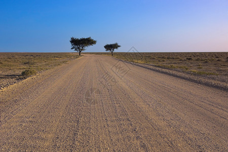 非洲纳米比亚的道路图片