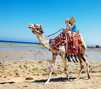埃及海滩上骑骆驼的旅游儿童校对P背景图片