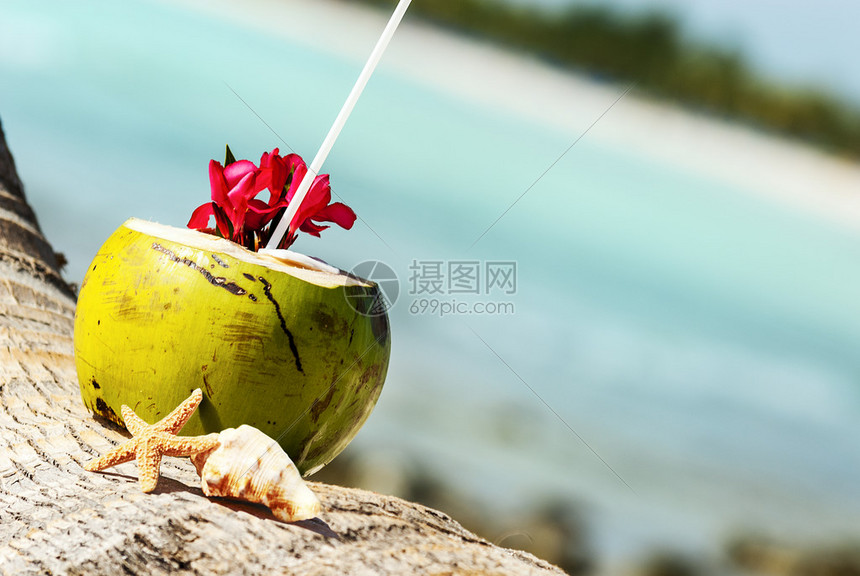 在海边的棕榈上喝着吸管的椰子图片