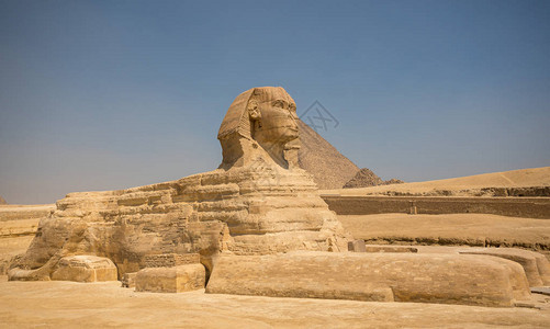 斯芬克斯和埃及开罗图片