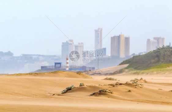 沙滩对沙丘植被和城市天图片