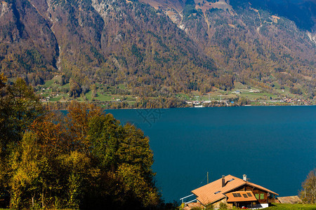 在瑞士因特拉肯山地背景的图片