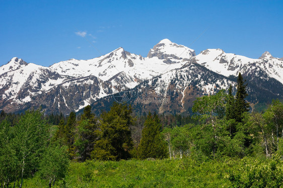 怀俄明州大提顿公园的山脉图片