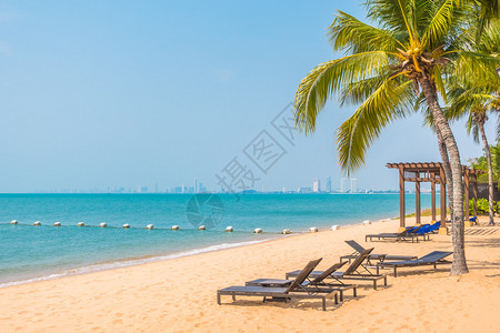 美丽的热带海滩和有棕榈树的海滨图片