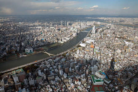 从东京晴空塔看东京图片