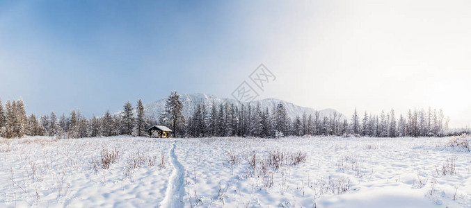 美丽的冬季风景和乡村图片
