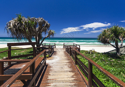 澳大利亚金海岸阳光背景图片