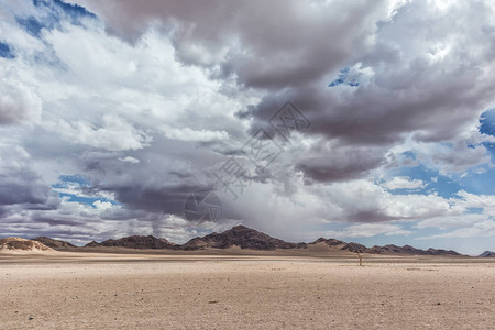 纳米布沙漠中最微小的荒漠图片