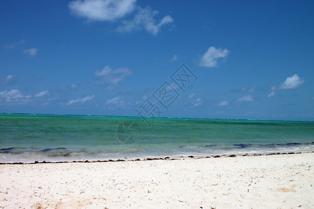 肯尼亚瓦塔姆海滩的景色图片