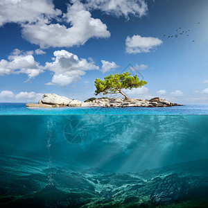在热带海洋的碧绿海水中图片