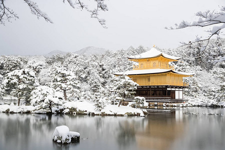 ZenTempleKinkakakuji黄金馆图片