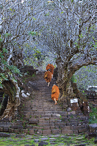僧侣爬上楼梯图片