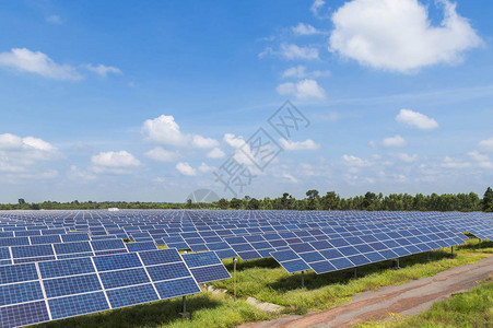 太阳能发电厂中的多晶硅太阳能电池排阵列向上吸收来自太阳的光图片